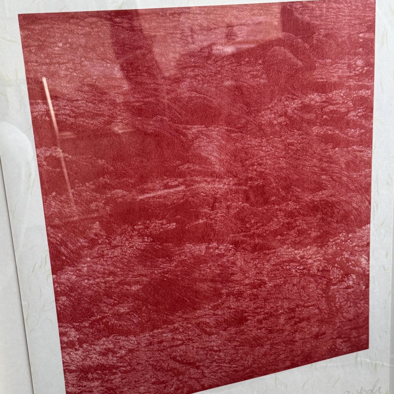 Grafica & Litografie: Franz Gertsch - Levrini Gallery – Usato da Gockhausen venduto da LevriniGallery 5