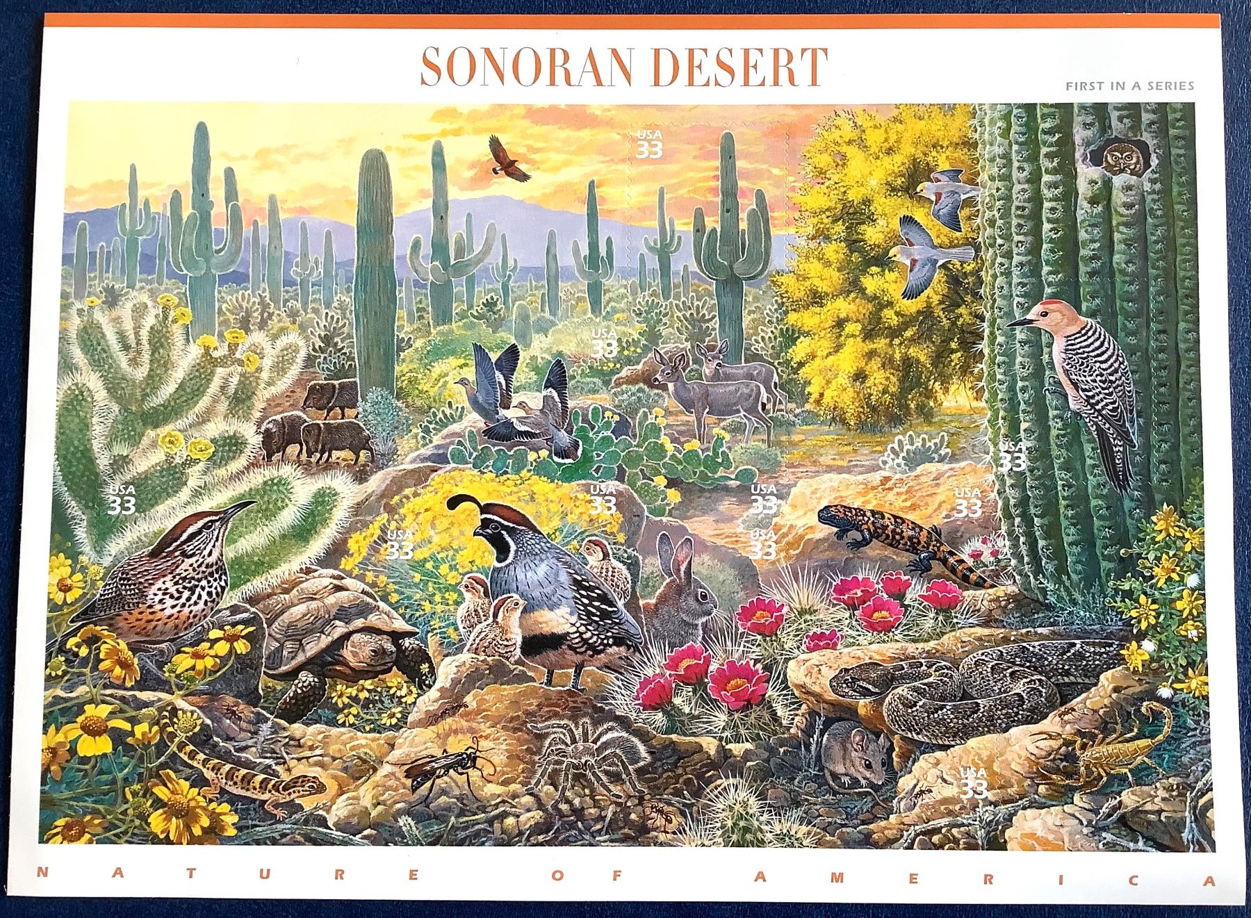 Tutti i francobolli: 1999 USA - Sonoran Desert - Bogen ** – Nuovo (secondo la descrizione) da Liestal venduto da Skunk02