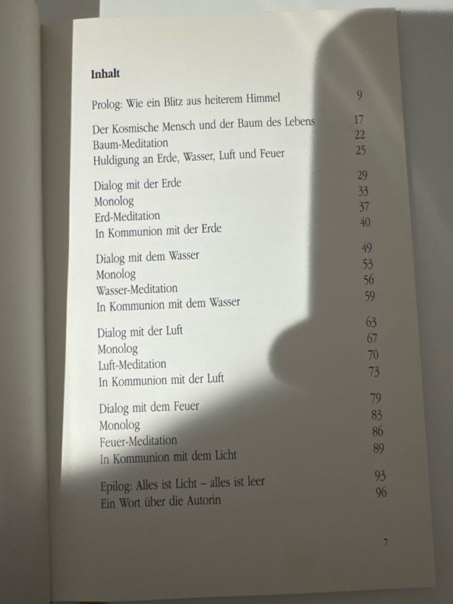 Libri: Wie ein Blitz aus heiterem Himmel – Usato da Kerzers venduto da -.-Jesus-.- 1