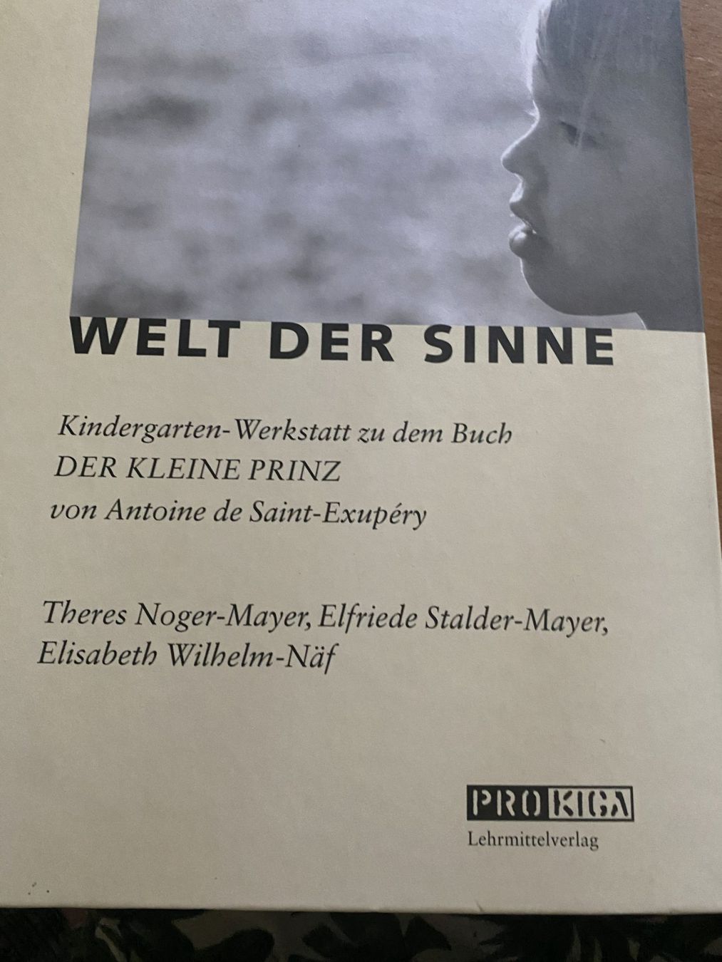 Libri: Welt der Sinne – Nuovo (secondo la descrizione) da Sachseln venduto da basti1950