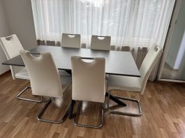 Esstisch mit 6 Stühlen Kunstleder weiss und Metallgestell