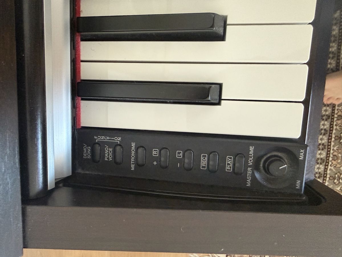 Yamaha Strumenti musicali: Yamaha Arius – Usato da Meisterschwanden venduto da mal_m6n2 2