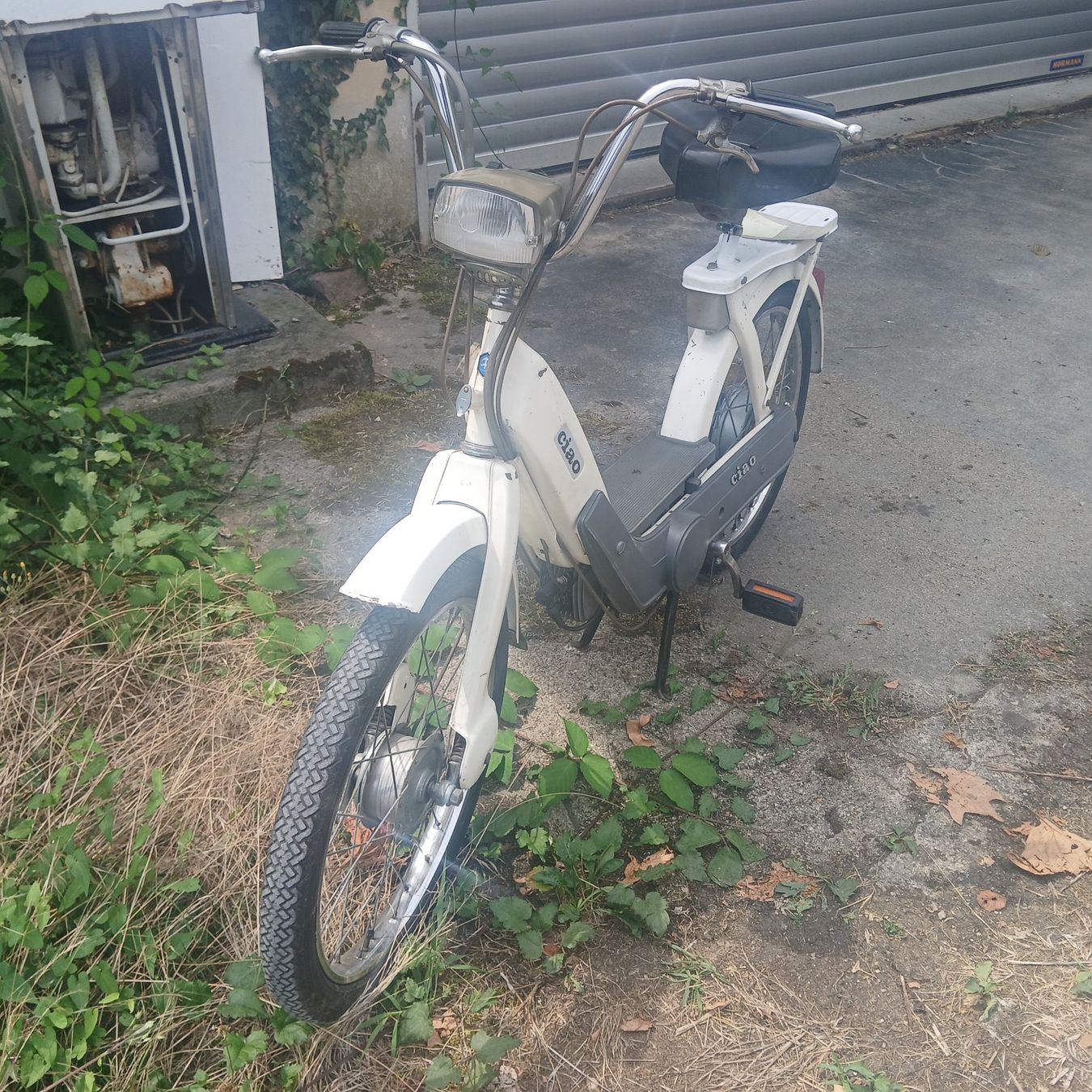 Piaggio Mofas: Mofa Piaggio Ciao PX mit Ausweis – Gebraucht aus Balsthal von redcarpet 2