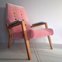 Fauteuil tchèque des années 50  / Design Vintage