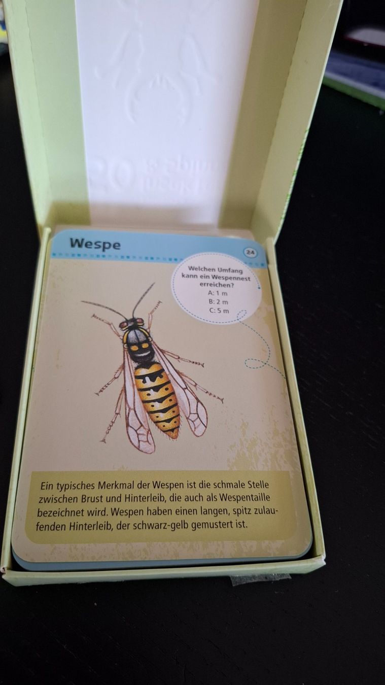 Spiele: Spiel – Gebraucht aus bülach von bea_syq2 1