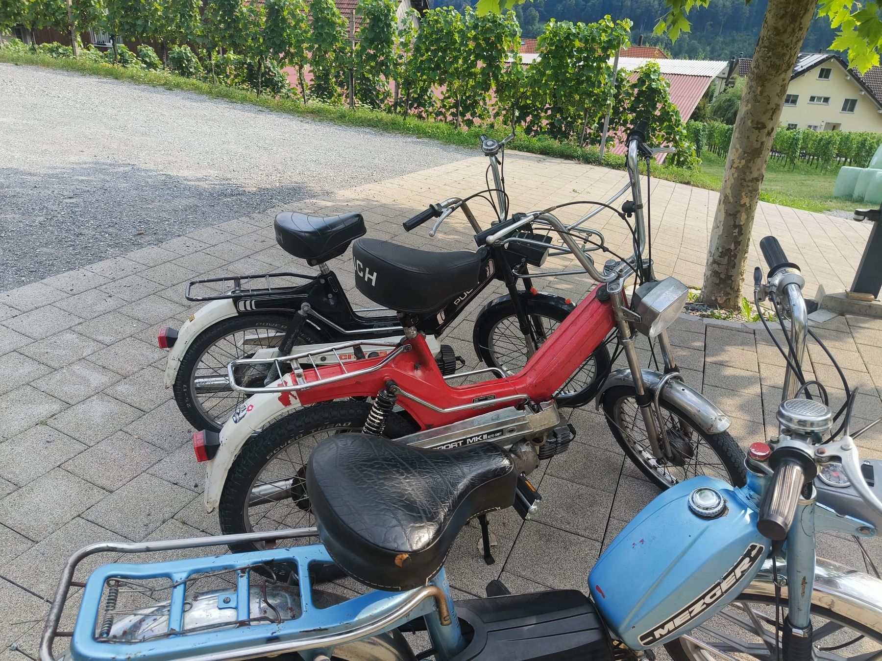 Puch Ciclomotori: 2x Puch maxi + Mezger – Usato da Heiligkreuz (Mels) venduto da Ragusa2025 1