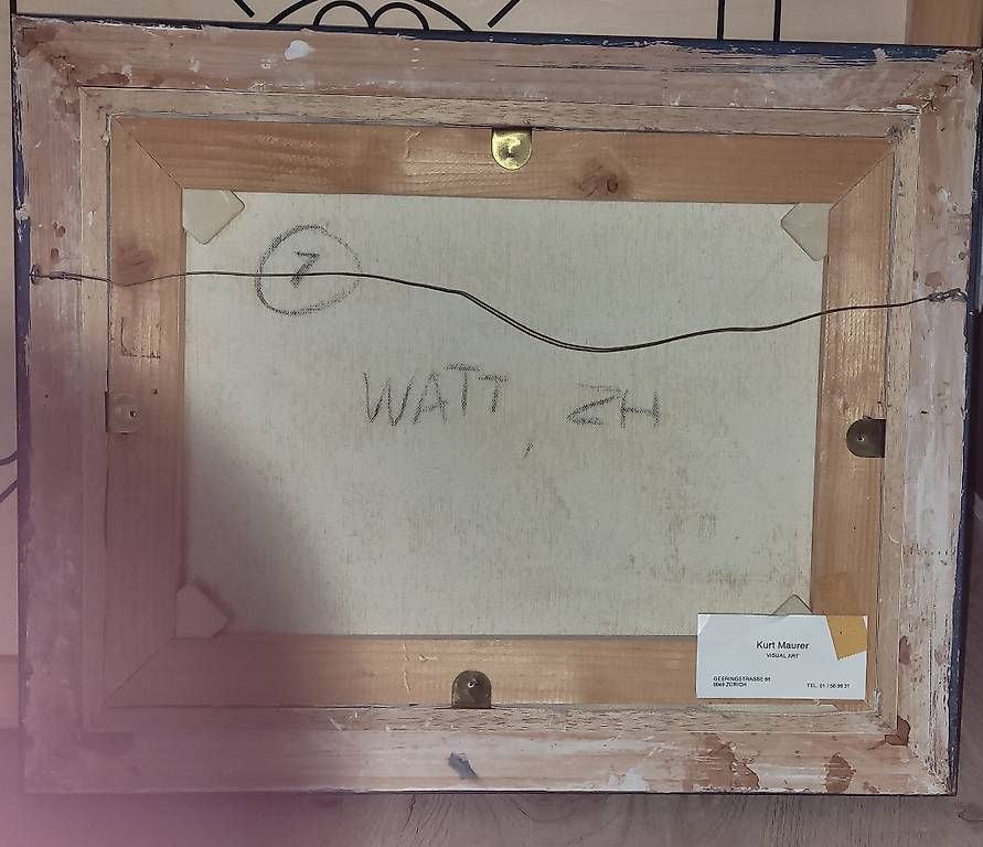 Foto & Immagini: Kurt Maurer Watt ZH – Usato da Neuhausen venduto da mar_ryh8 3