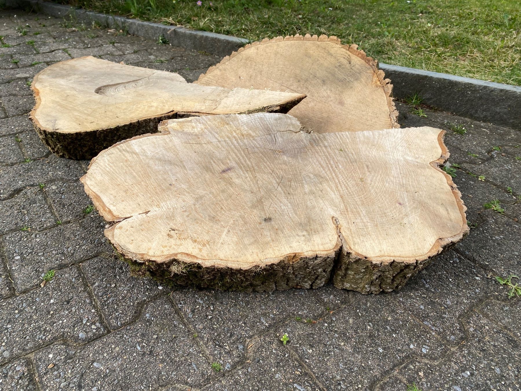 Articoli in legno: 3 schöne Esche-Baumscheiben – Usato da Feldbach venduto da Olive1 2