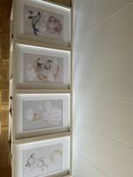 Bilder