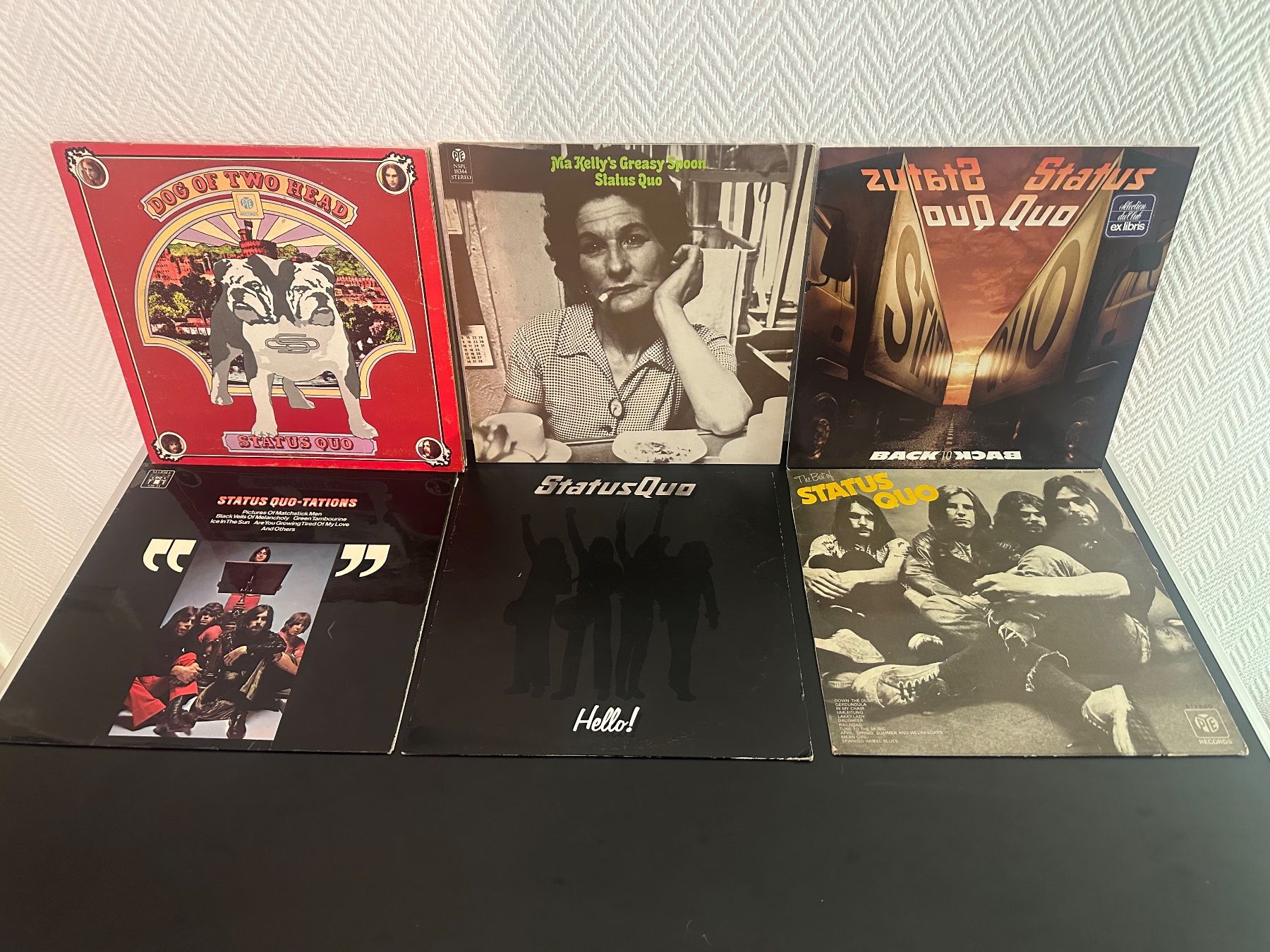 Dischi in vinile: 10 Vinyl Langspielplatten von Status Quo – Usato da Amriswil venduto da Valk1 1