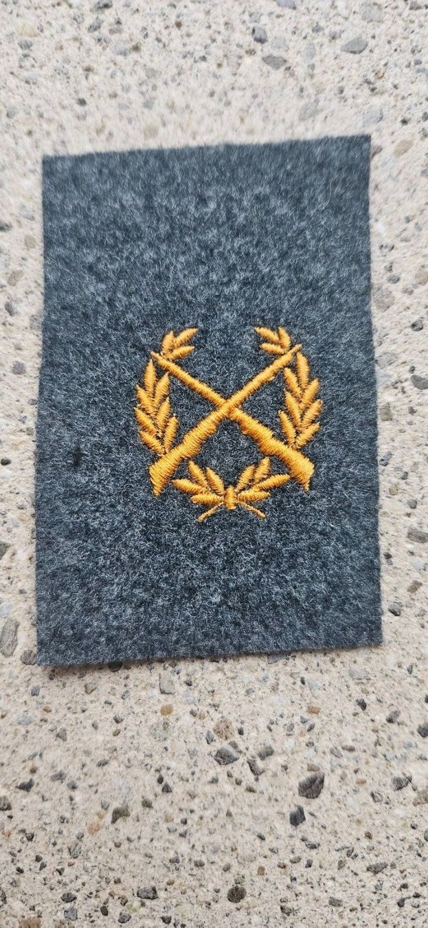 Schweizer Armee Placchette & Badge: *** Militär Abzeichen *** – Nuovo e nell'imballaggio originale da Riedholz venduto da fr_sIruP