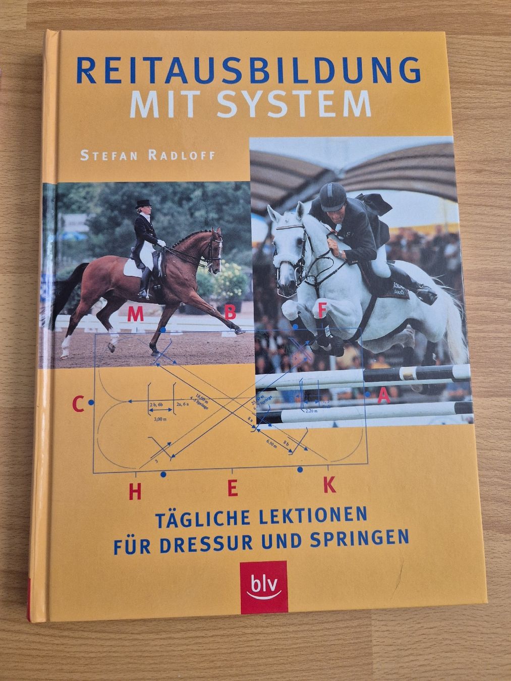 Briglie & Cavezze: Pferdefachbuch "Reitausbildung mit System" – Nuovo (secondo la descrizione) da Meggen venduto da Orrinka20