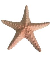 Deko Seestern Keramik 23.5 cm - Sommerdekoration