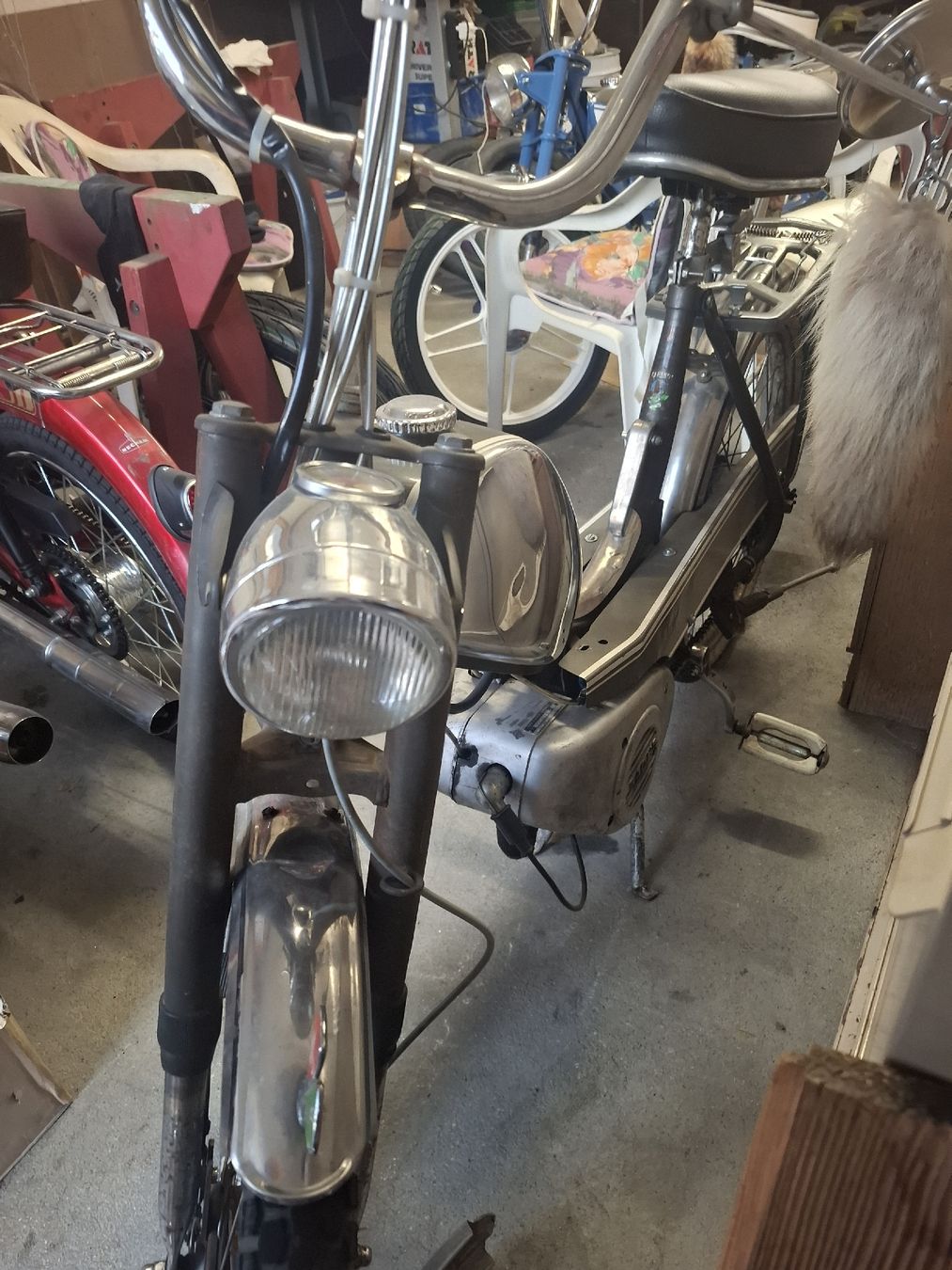 Sachs Mofas: Sachs Alpa Moor 503 HG – Gebraucht aus Grabs von San_777v 1