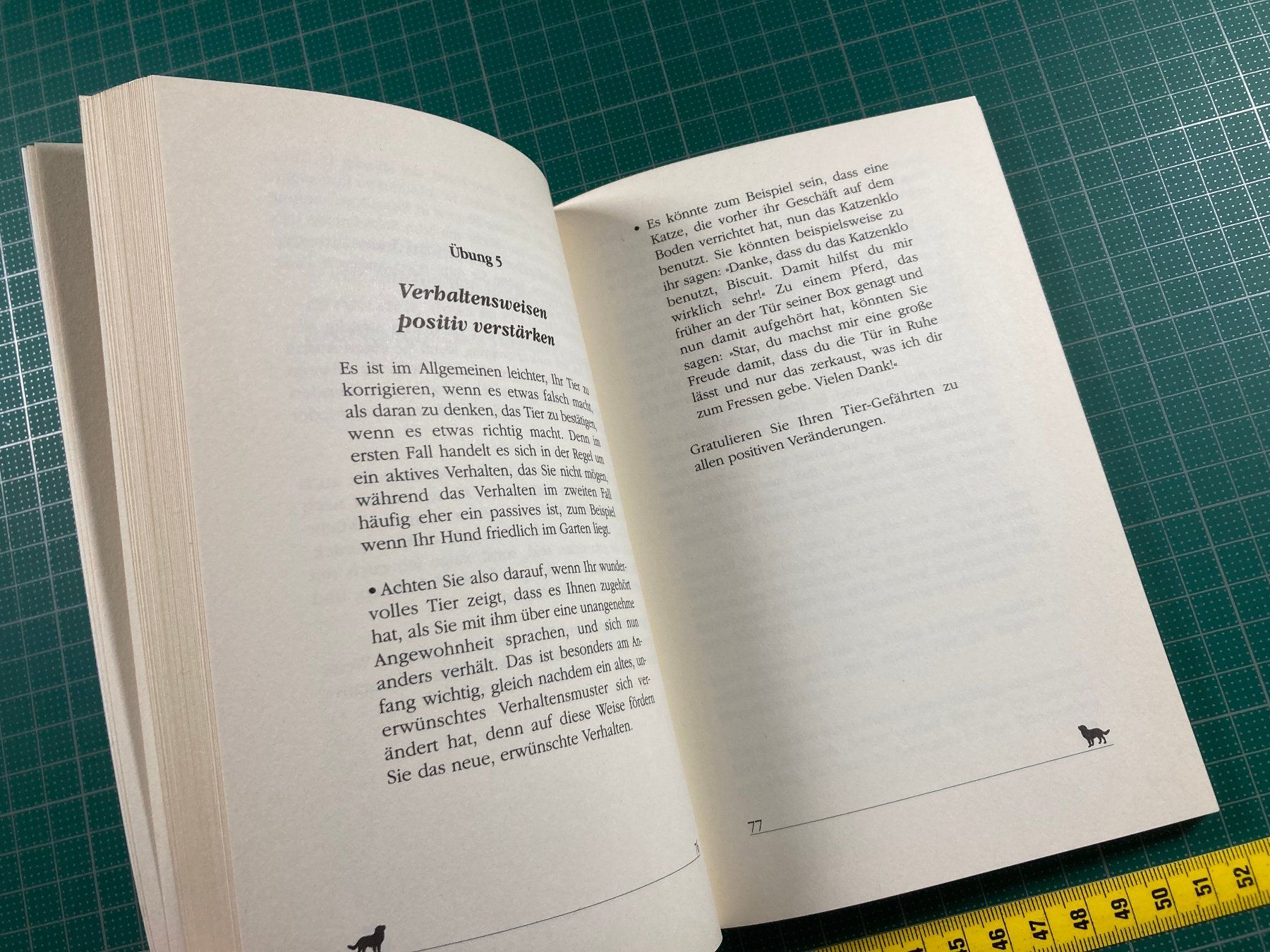 Libri: Judy Meyer: Mit Tieren sprechen – Usato da Lenzburg venduto da fh1 4