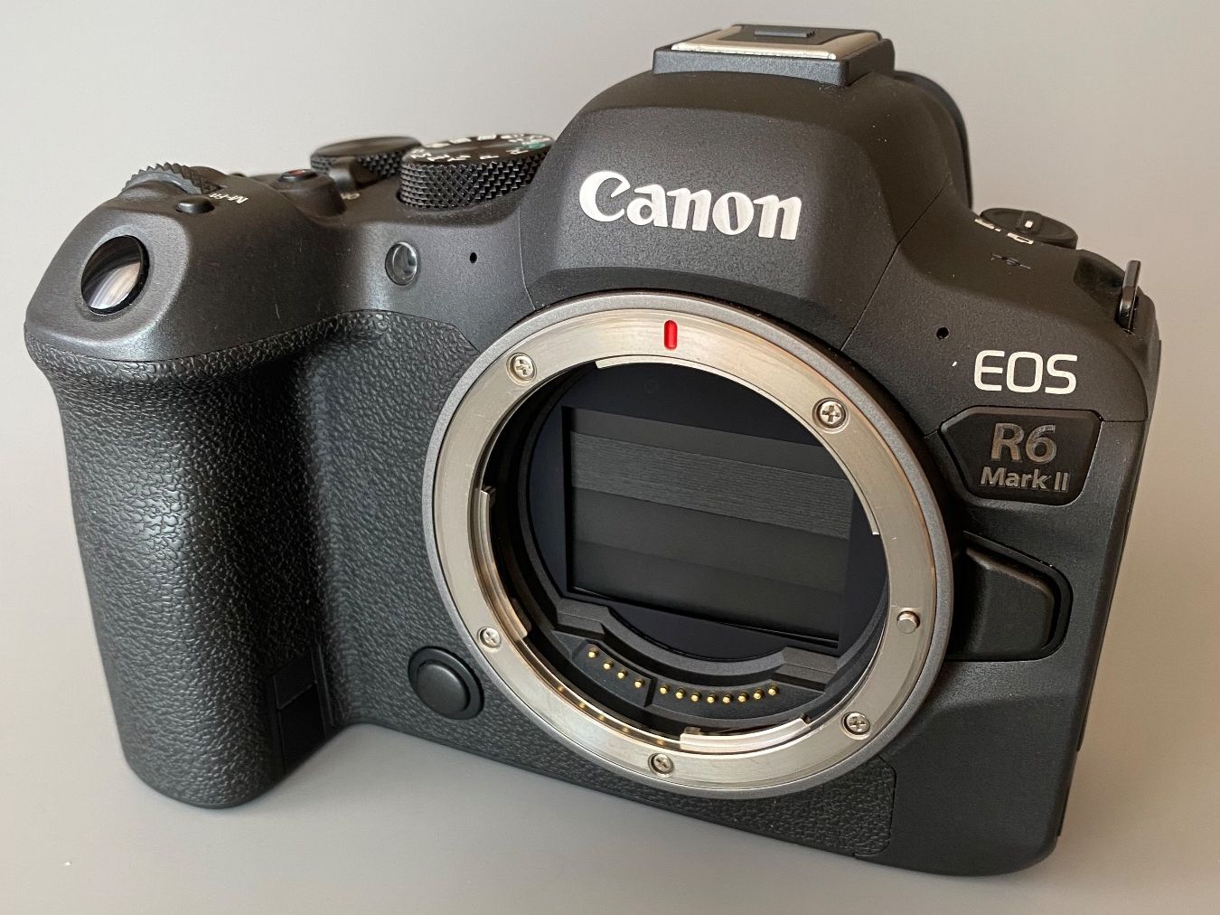 Canon Fotocamera: Canon EOS R6 Mark II – Usato da St-Blaise venduto da tomaro66 5