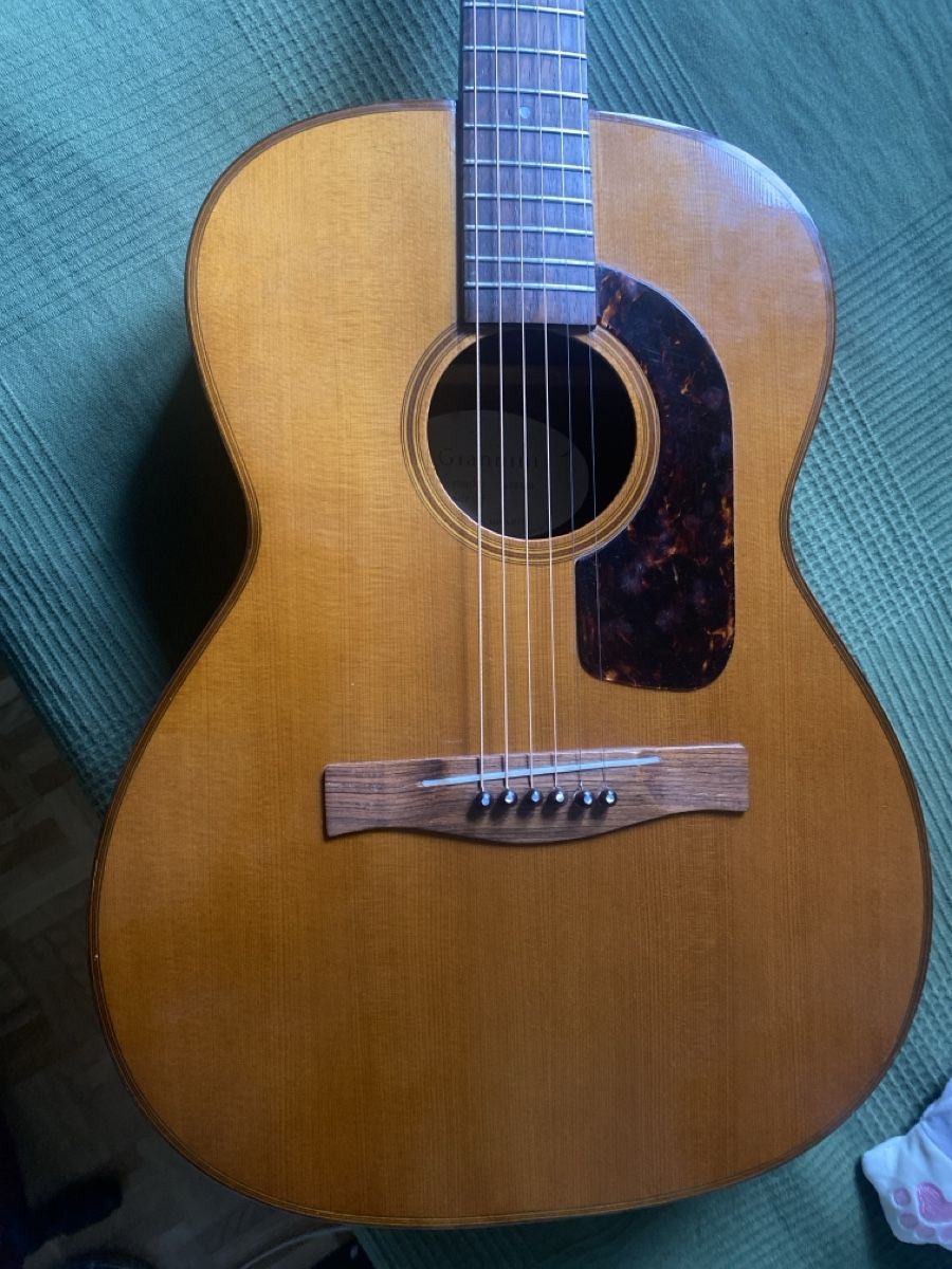 Strumenti musicali: vintage giannini – Usato da bern venduto da Bdim9 1