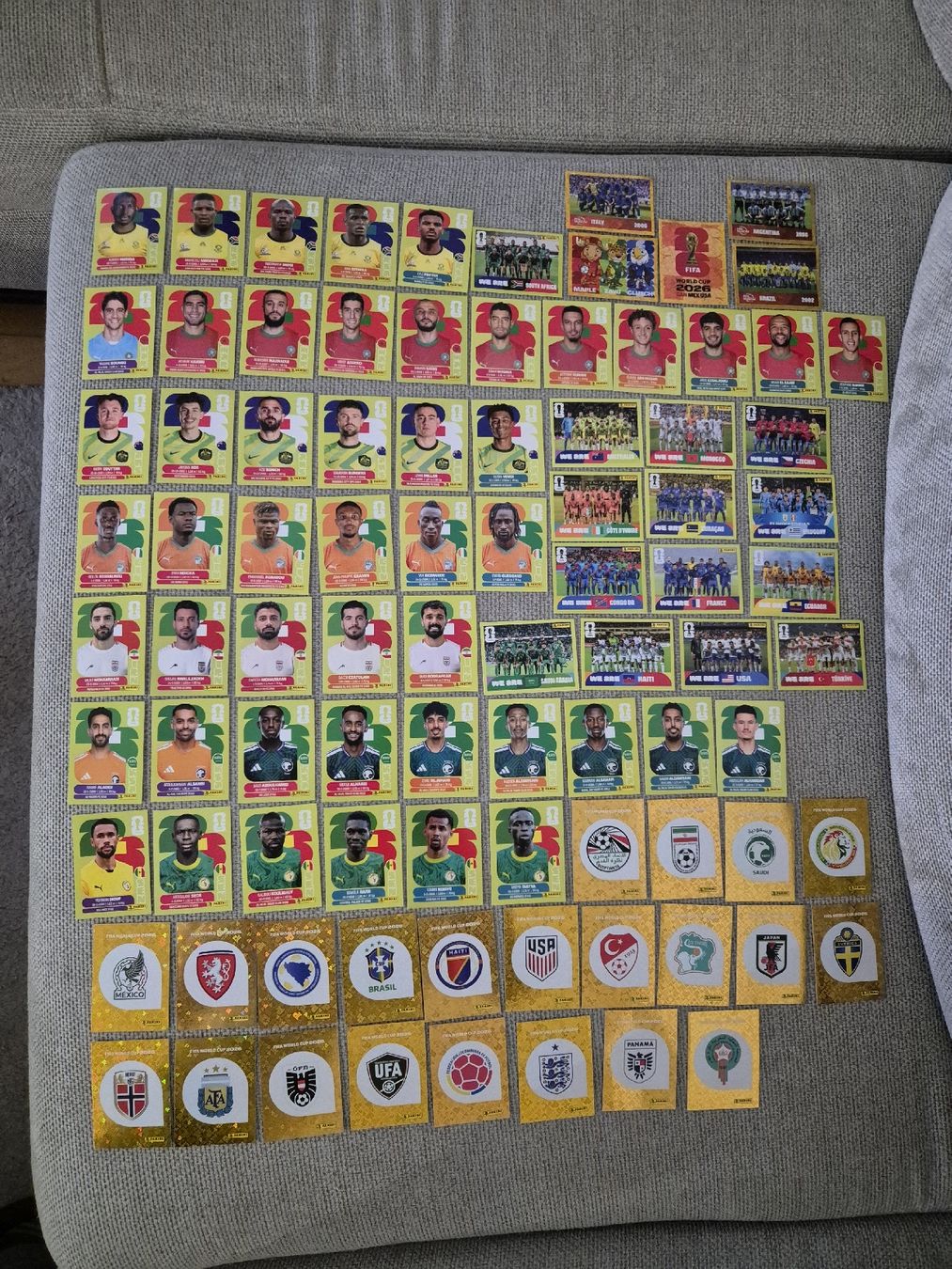 Panini Carte collezionabili: Panini WM Bundle – Nuovo (secondo la descrizione) da Zürich venduto da pet_j9xl