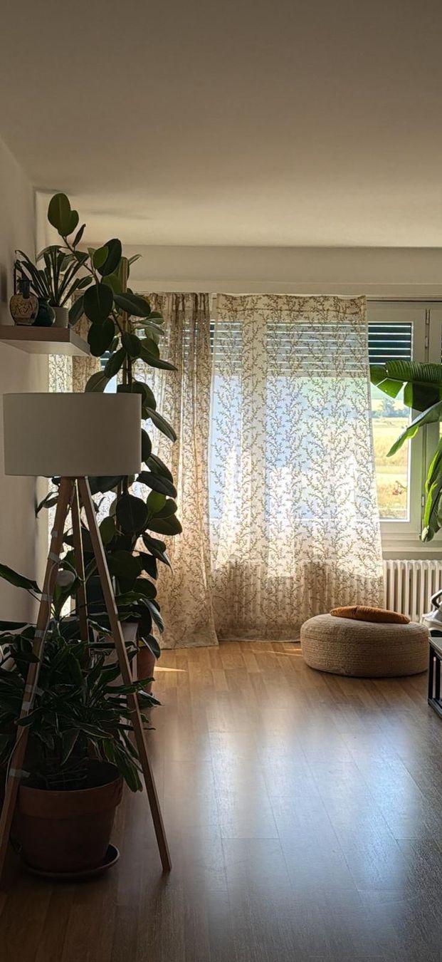 Vorhänge: Vorhang/ curtains – Neu (gemäss Beschreibung) aus Olten von pan_l2rt