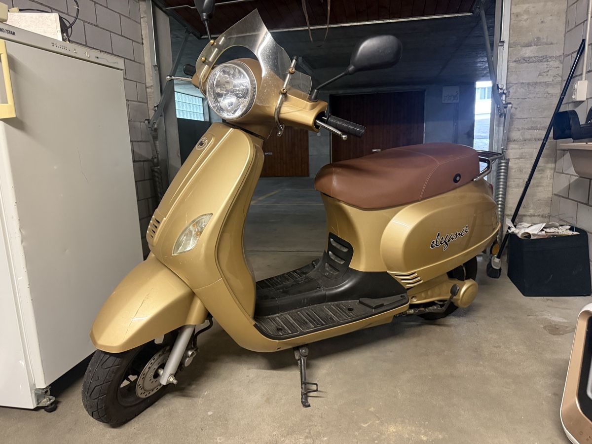 Scooter: Rhino Elegance Elektroroller DEFEKT – Difettoso da Steinmaur venduto da Bal-Rajmi1 9