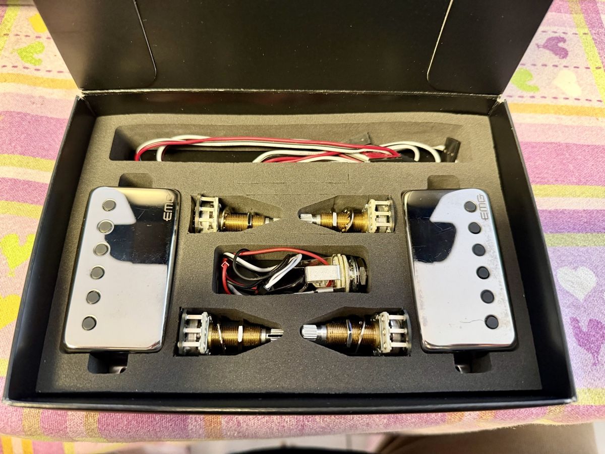 Strumenti musicali: Pickup James Hetfield – Usato da Viganello venduto da 53g_ml6j 1