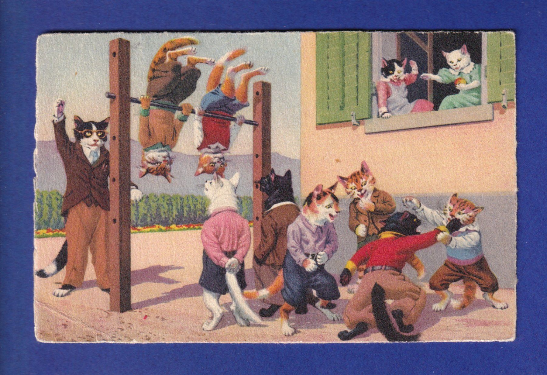 Cartes postales: CHAT - Chat humanisés // pli d'angle // – D'occasion à Pully par nicecards-shop