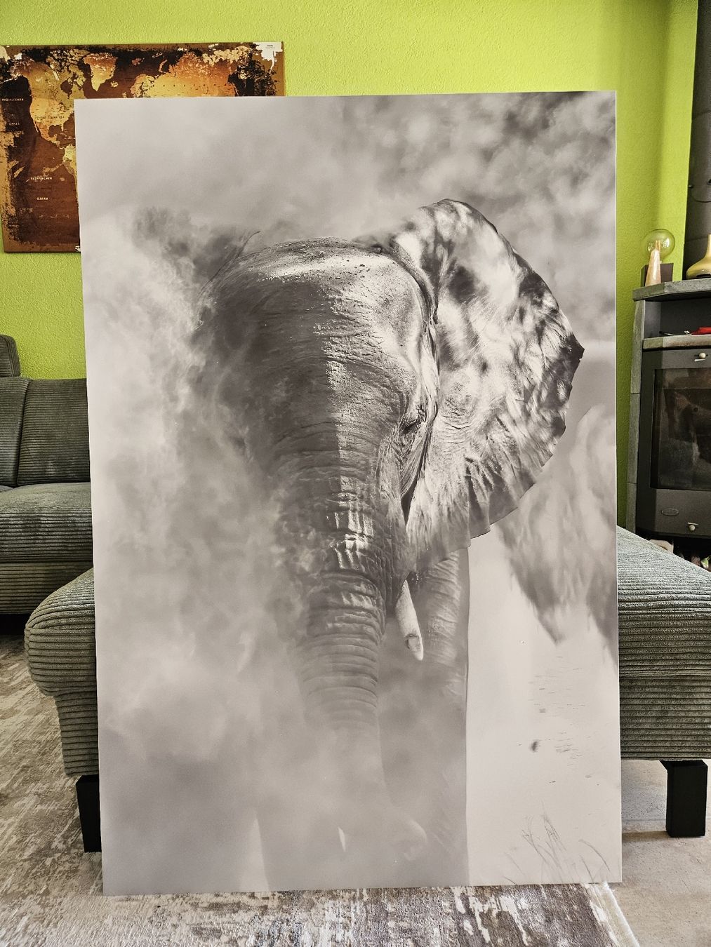 Foto & Immagini: Portrait Elefant im Staub – Nuovo (secondo la descrizione) da Waltenschwil venduto da Mafowi