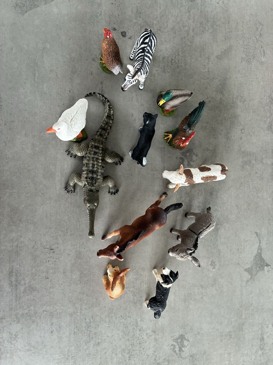 Schleich Giocattoli: Schleich Tierfiguren – Usato da Safnern venduto da Jamina2