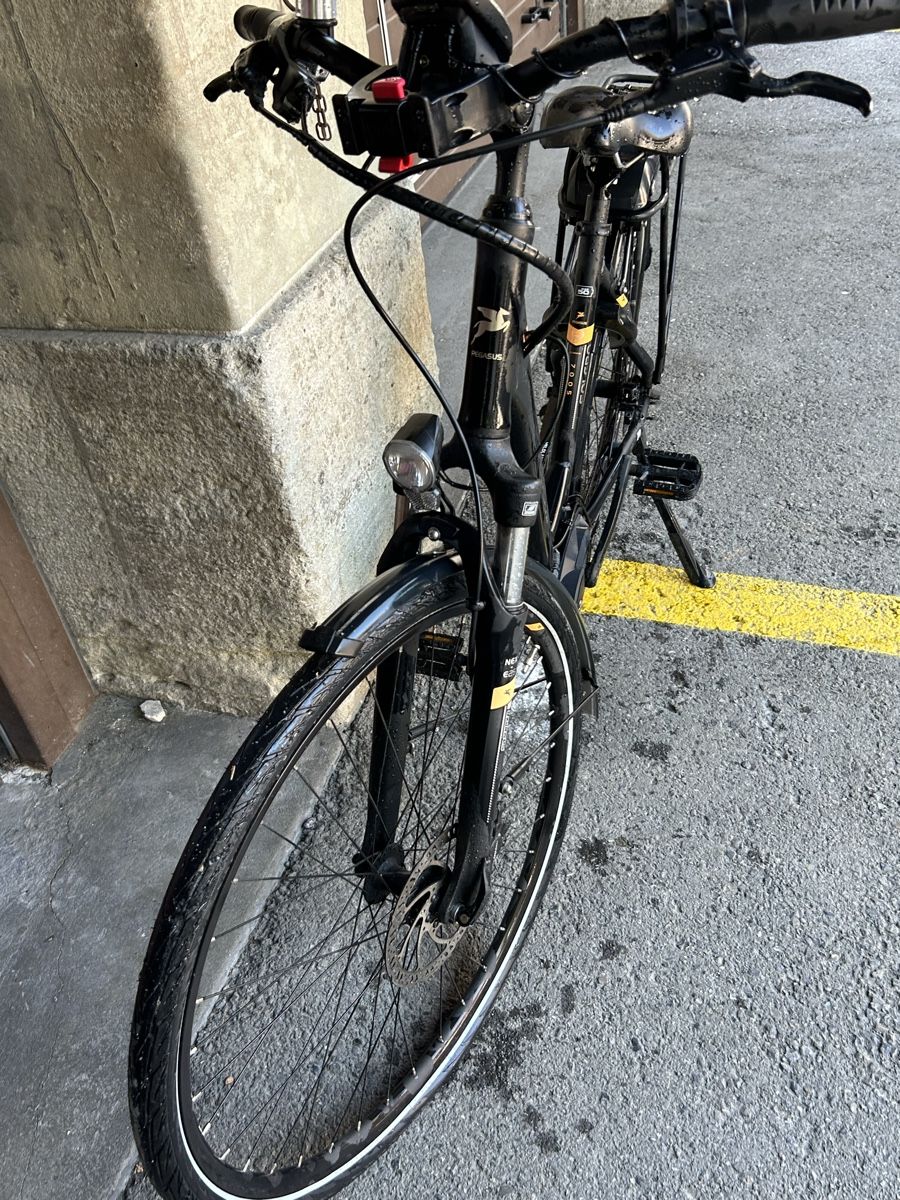Bosch Velos: Vélo électrique Pegasus Solero 50, noir, Bosch Performance L – Gebraucht aus Thierrens von Bigla 3