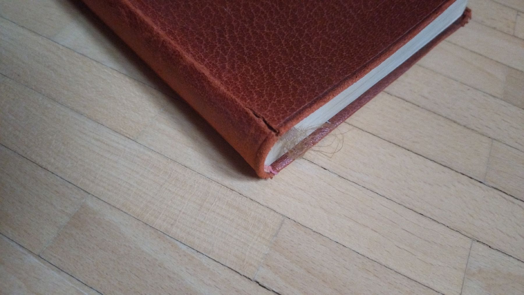 Bücher: Ancien agenda 1928, Vierge – Gebraucht aus Farvagny-le-Grand von LaCaverne 3