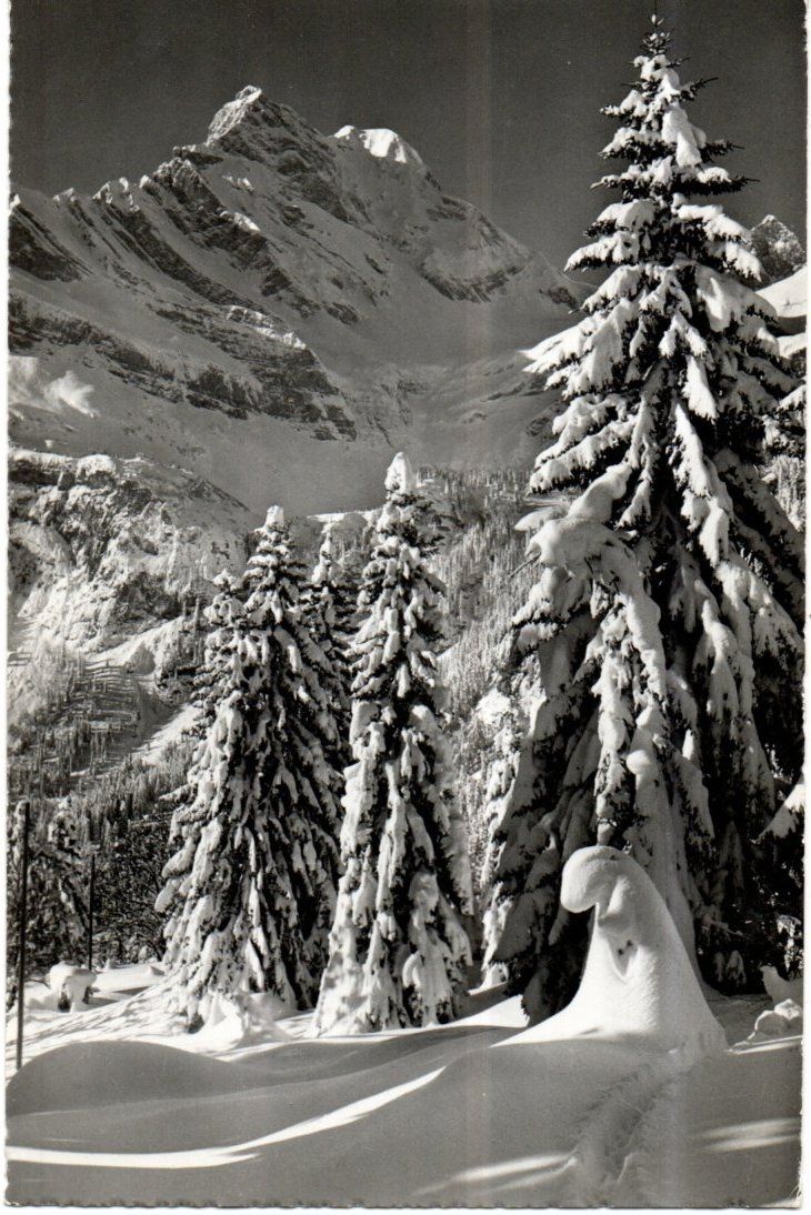Cartoline postali: AK BRAUNWALD ORTSTOCK SCHNEE – Usato da Greifensee venduto da scharmant