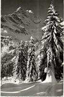 AK BRAUNWALD ORTSTOCK SCHNEE
