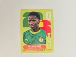 Panini WM 26 - SEN10