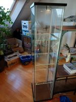 Ikea Vitrine DETOLF
