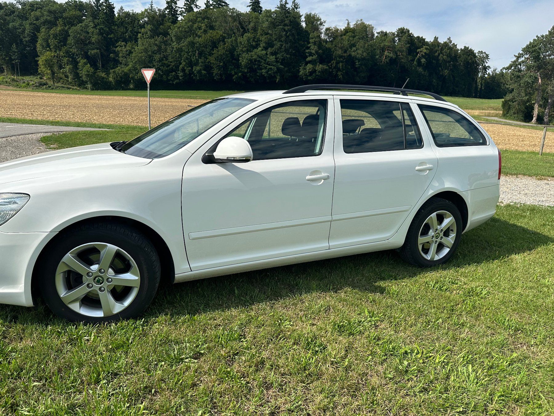 Skoda Automobili: Skoda Octavia TDI 2.0 DSG – Usato da Tägerwilen venduto da Golf1 1