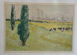 Jacobus Gerardus Veldheer (1866-1954), Chromolithographie