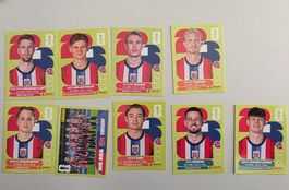 Panini 2026 WM USA NOR Norwegen 9 Stk. (Preis pro Stück!!!)