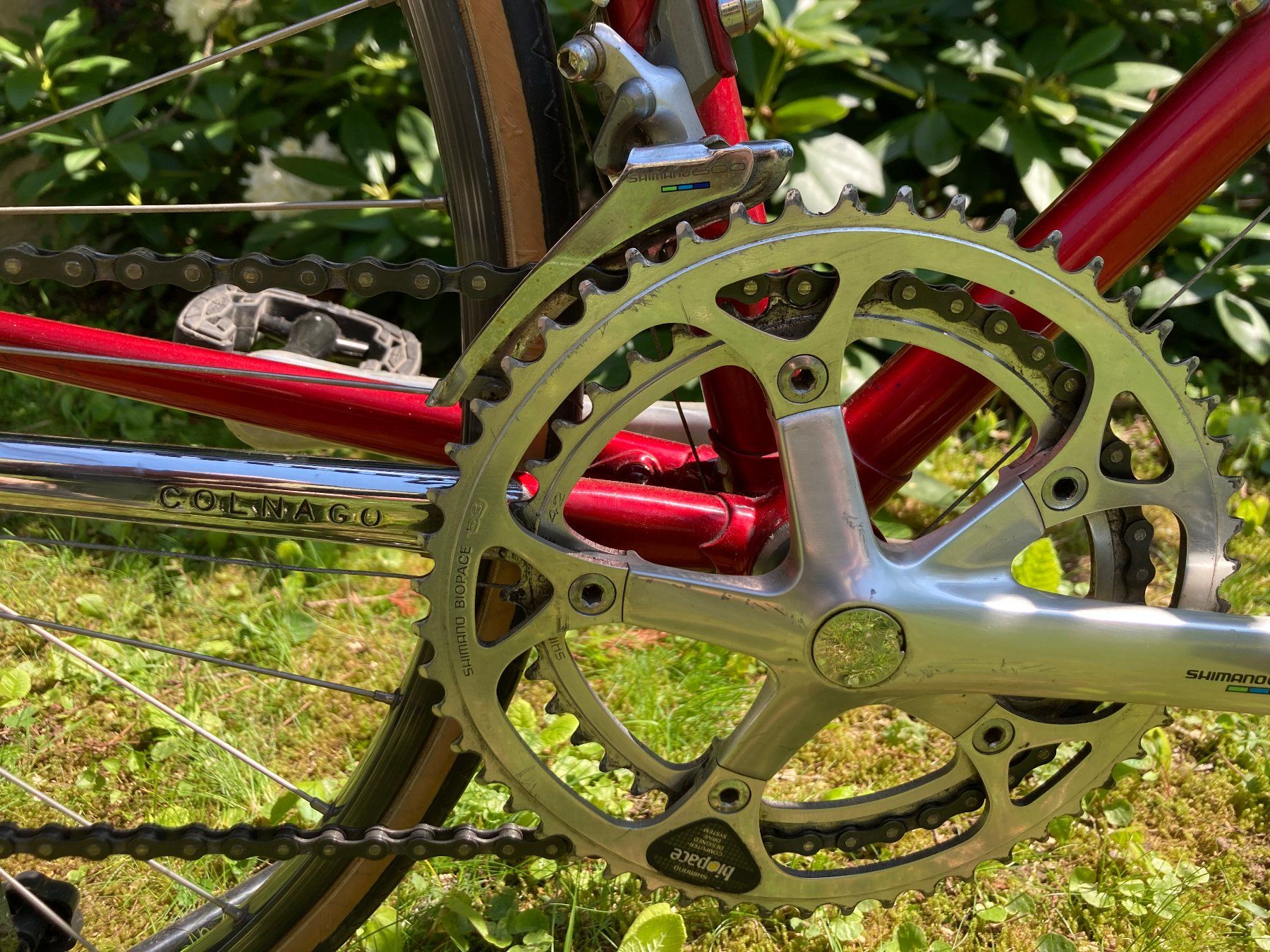 Colnago vintage d'occasion - Vélos