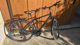 Bergamont Horizon 6.0 Herren City Fahrrad Velo Gepäck