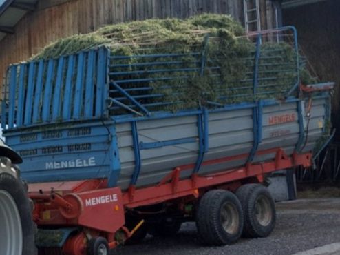 Mengele Tutte le macchine: Mengele Ladewagen Ersatzteile – Usato da Siebnen venduto da Grosswis50 6