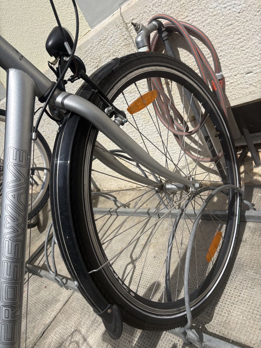 Crosswave Biciclette: Citybike – Usato da Basel venduto da sandra____ 1