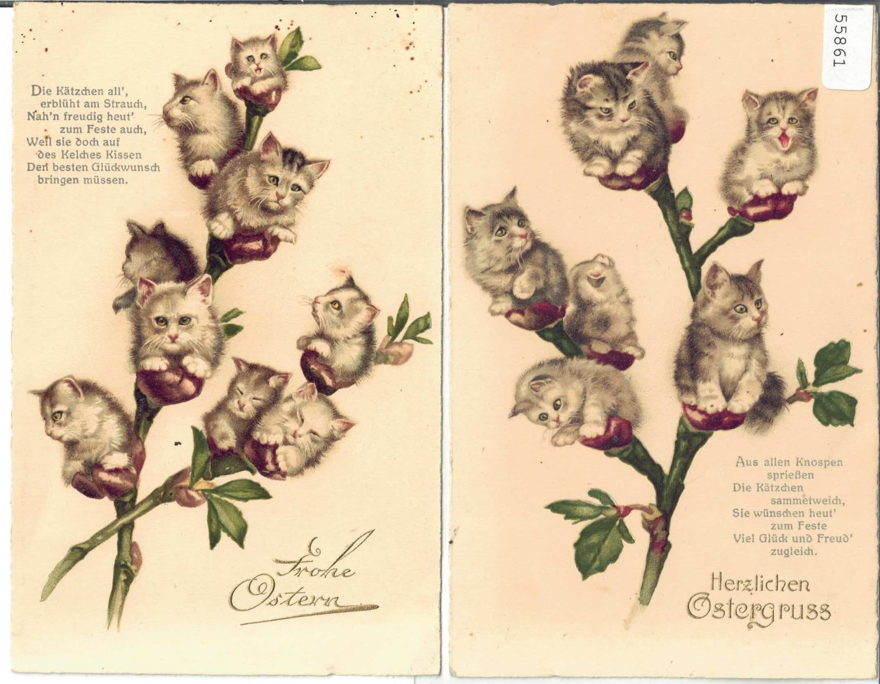 Cartoline postali: 2 AK - Herzlichen Ostergruss - Katzenbaum - Litho – Usato da Ettingen venduto da Kartenplanet
