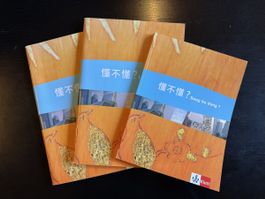 3xChinesisch Lehrbuch: „Dong bu dong?“ Ernst Klett Verlag
