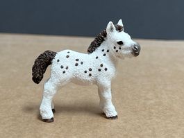 Schleich Spotty als Fohlen, 2013 Shetty Horse Club