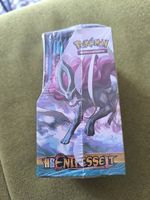 Pokemon Entfesselt Display 18