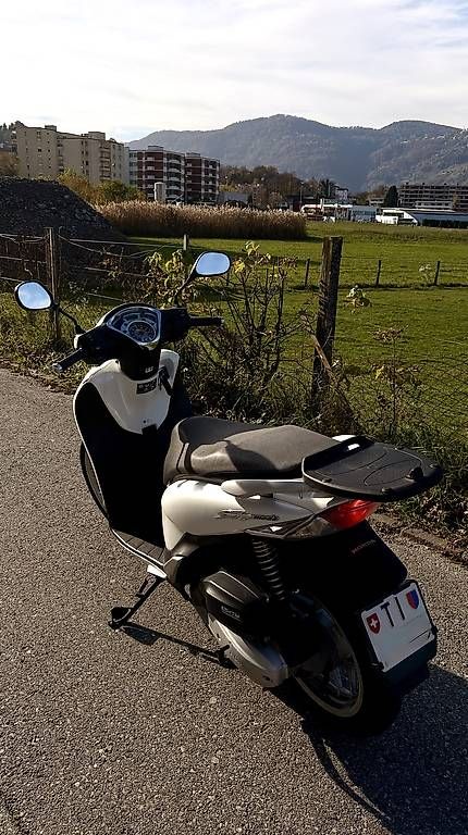 Scooters: Sh 125 scooter 125 – Gebraucht aus Magliaso von cal_7gyz 3