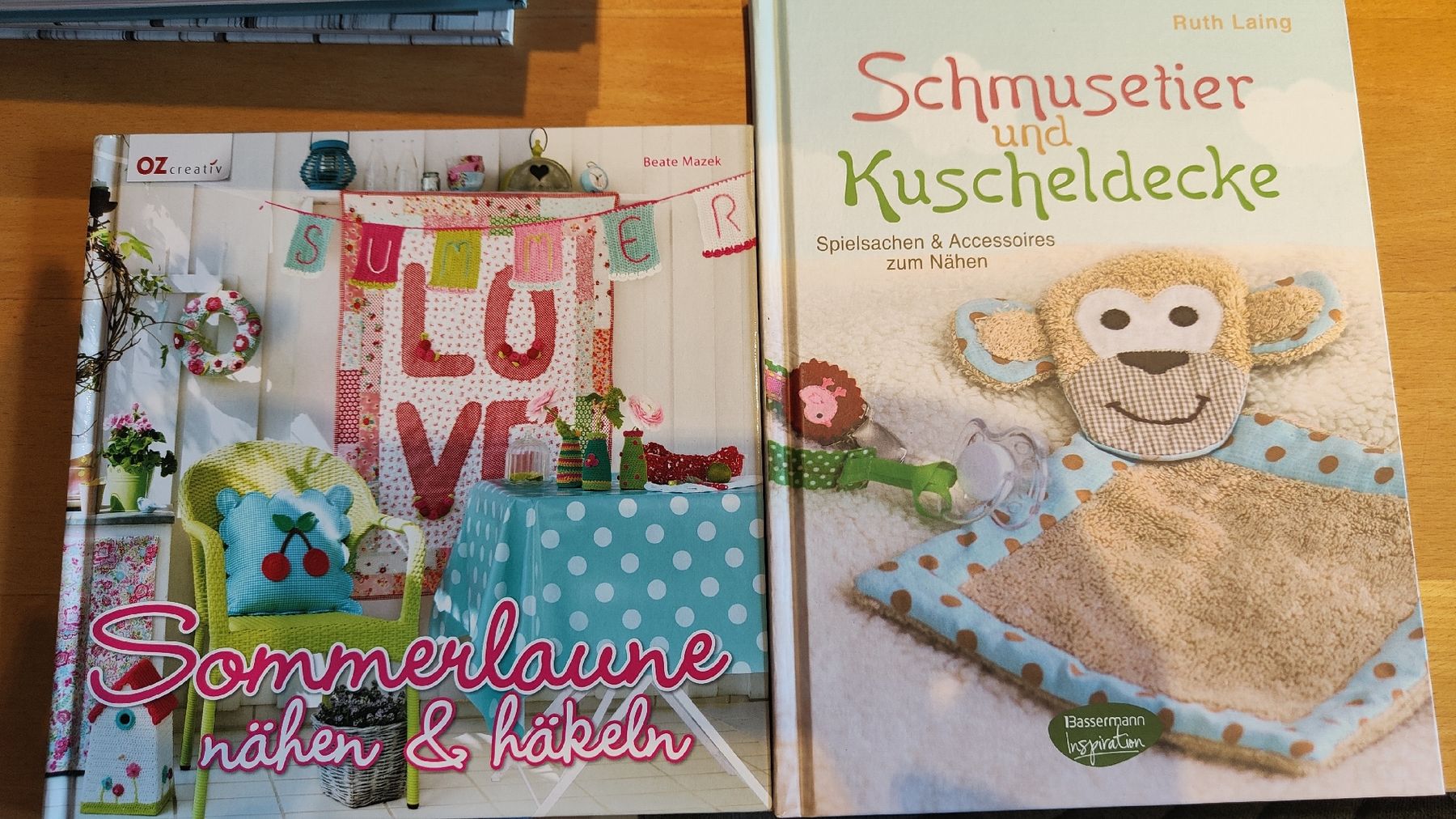 Libri: 16 Näh und Bastelbücher  – Usato da Davos Platz venduto da Stifi10 3