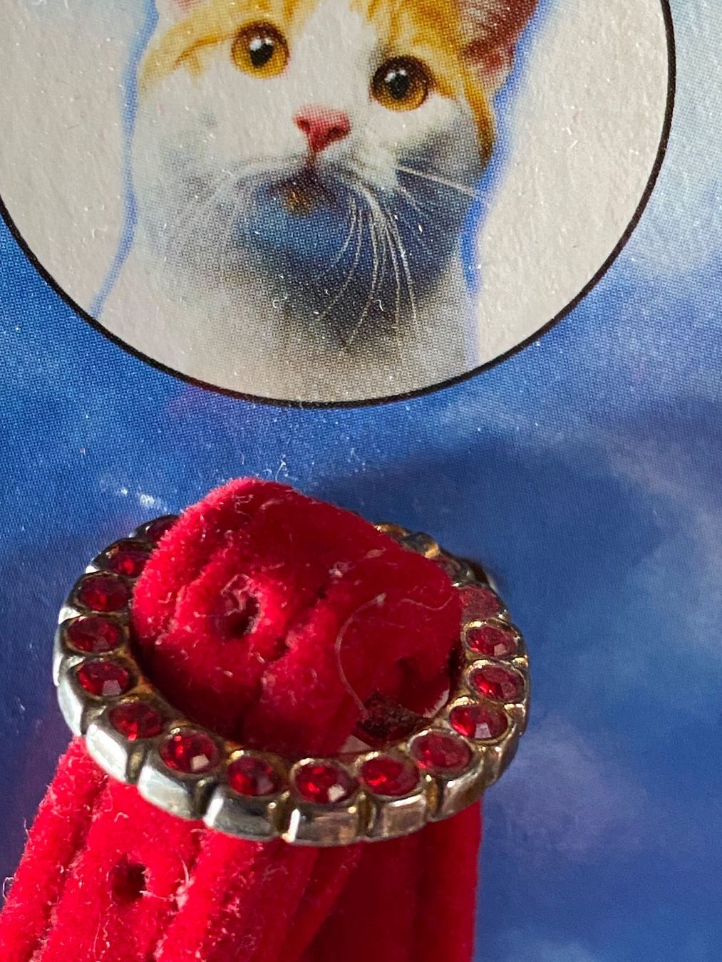 Leine & Halsband: 4 Katzen Halsbänder,  2 Adressen Anhänger – Neu und originalverpackt aus Rosshäusern von Reb_87sr 6