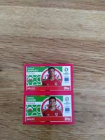🤩 WAL 12 / WAL 13  - Topps Euro 2024 Sticker