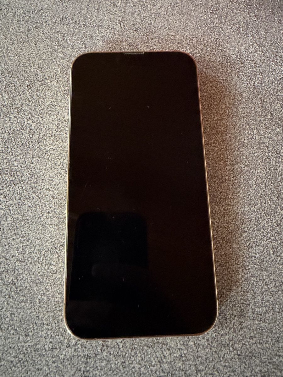 Apple Telefoni cellulari / Smartphones: Apple iPhone 13 Pro 256 GB Gold, Displayfehler – Usato da Bühler venduto da Kusi.m 2